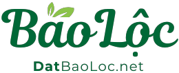 Dat Bao Loc