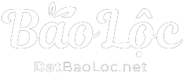 Dat Bao Loc